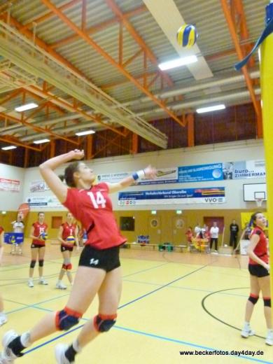 Volleyball Länderspiel 2