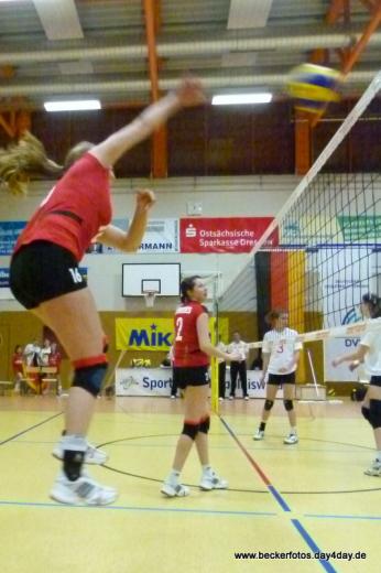 Volleyball Länderspiel 3