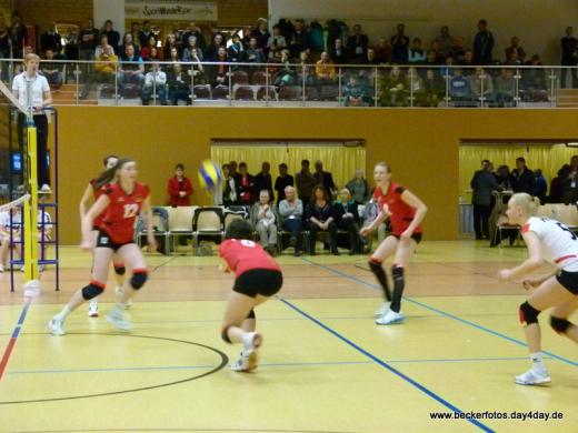 Volleyball Länderspiel 27