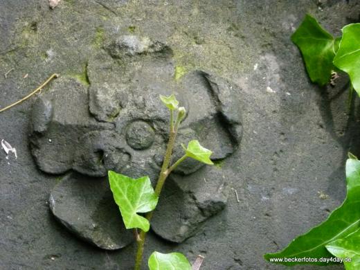 Eliasfriedhof Dresden 19