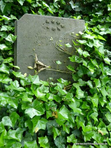 Eliasfriedhof Dresden 23
