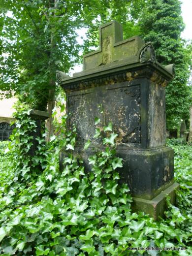 Eliasfriedhof Dresden 28