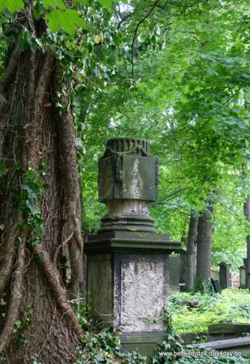 Eliasfriedhof Dresden 40