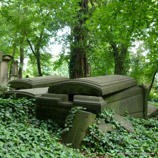 Eliasfriedhof Dresden 44