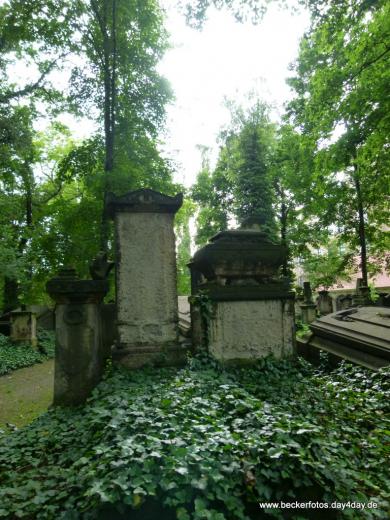 Eliasfriedhof Dresden 52