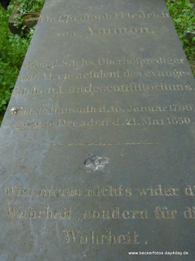 Eliasfriedhof Dresden 63