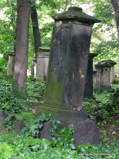 Eliasfriedhof Dresden 69