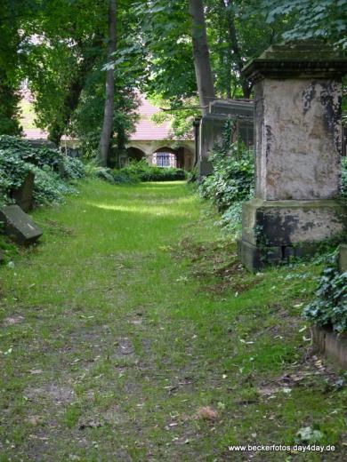 Eliasfriedhof Dresden 80