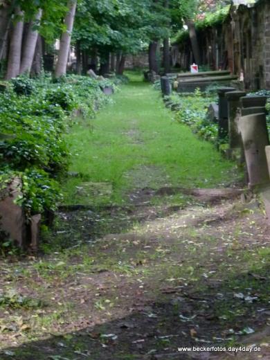 Eliasfriedhof Dresden 81