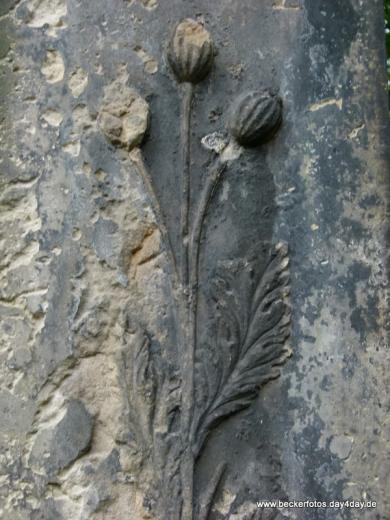 Eliasfriedhof Dresden 83