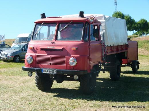 IFA - Freunde