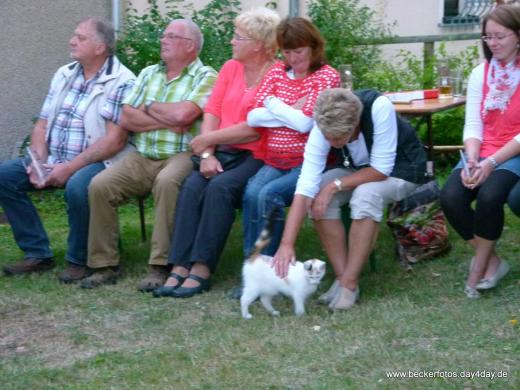 Aber auch die Katze