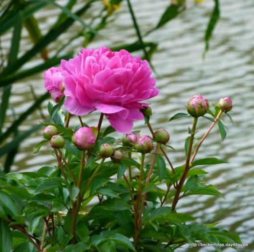 Am Wasser