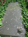 Eliasfriedhof Dresden 18
