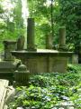 Eliasfriedhof Dresden 48