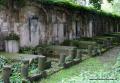 Eliasfriedhof Dresden 60