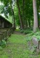 Eliasfriedhof Dresden 61