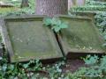 Eliasfriedhof Dresden 68