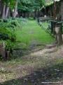 Eliasfriedhof Dresden 81