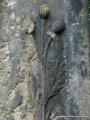 Eliasfriedhof Dresden 83